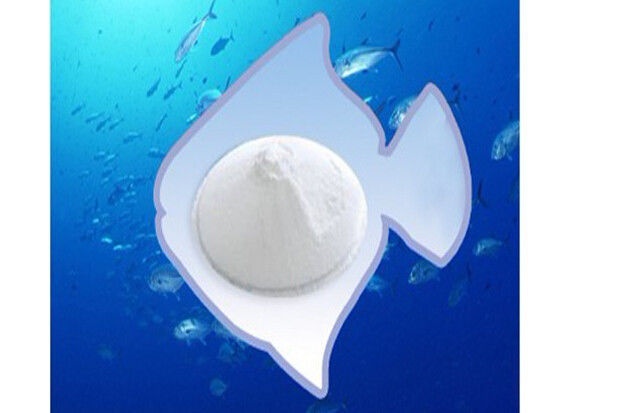 Best sale and 100% Natural Fish Scale Collagen Powder from China